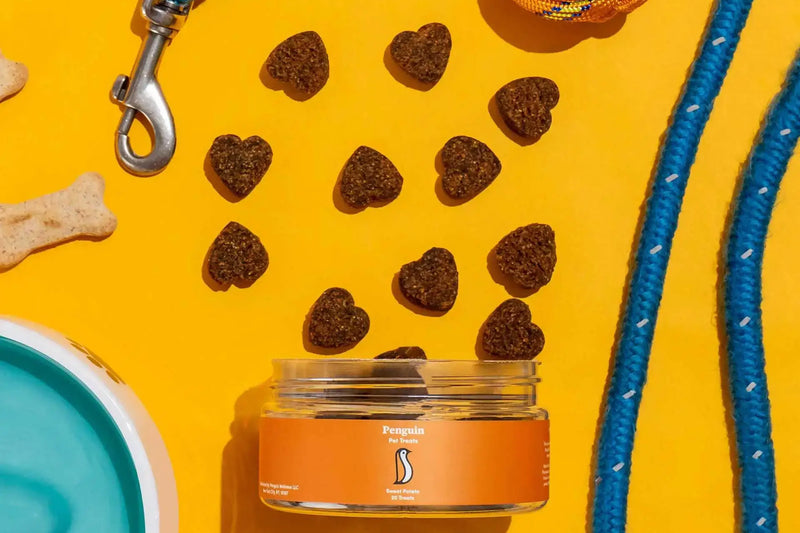 Get Your Dog Happy with Penguin Wellness' CBD Oil for Dogs and Treats