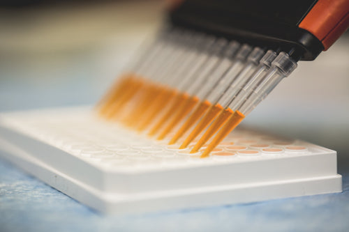 The Secrets of CO2 Extraction: Unlocking the Full Potential of Hemp